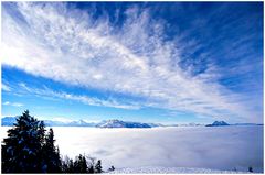 Gaisberg,Nebel