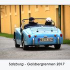 Gaisbergrennen 2017 (33)