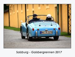 Gaisbergrennen 2017 (33)