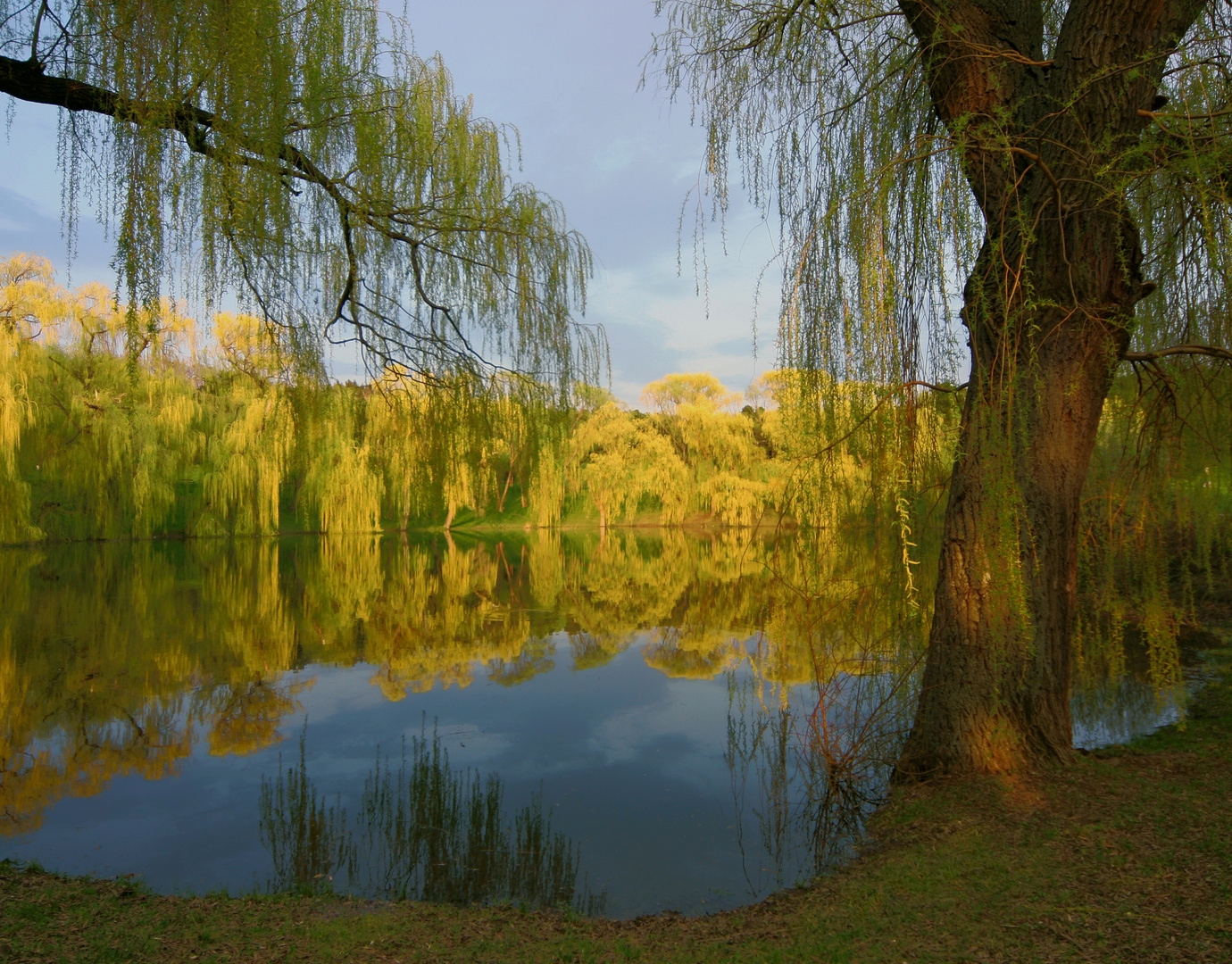 Gaisbergteich im April