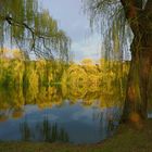 Gaisbergteich im April