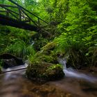 Gaishöll Wasserfälle bei Sasbachwalden im Schwarzwald