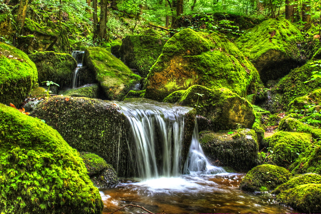 Gaishöll- Wasserfälle Sasbachwalden