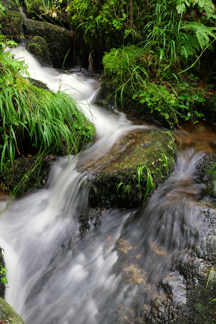 Gaishöll Wasserfall 2