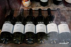 Gaja Sperss 1997, 1999, 2000, 2001, 2004 , 2005