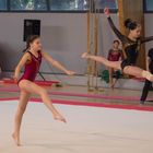 gala de gymnastique