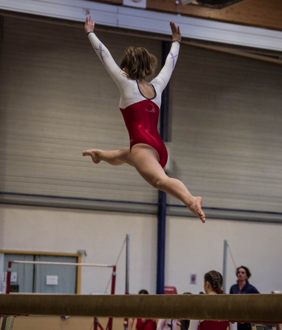 gala de gymnastique