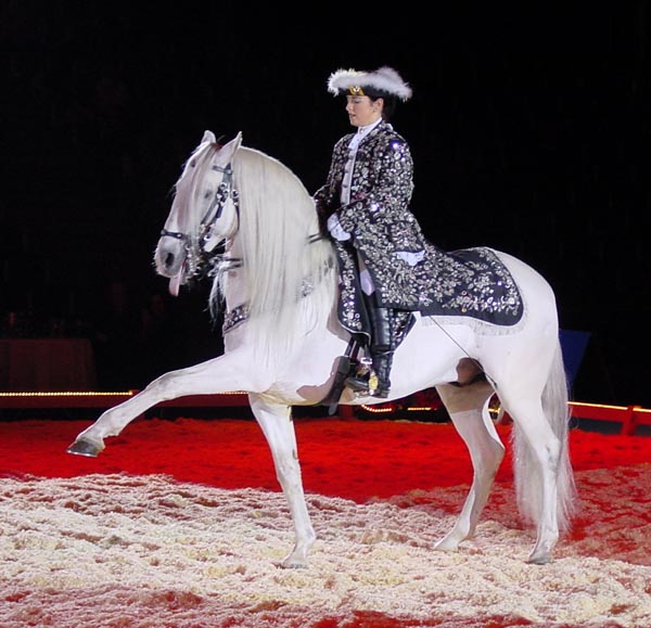 Gala der Königspferde - Karlsruhe Sylvester