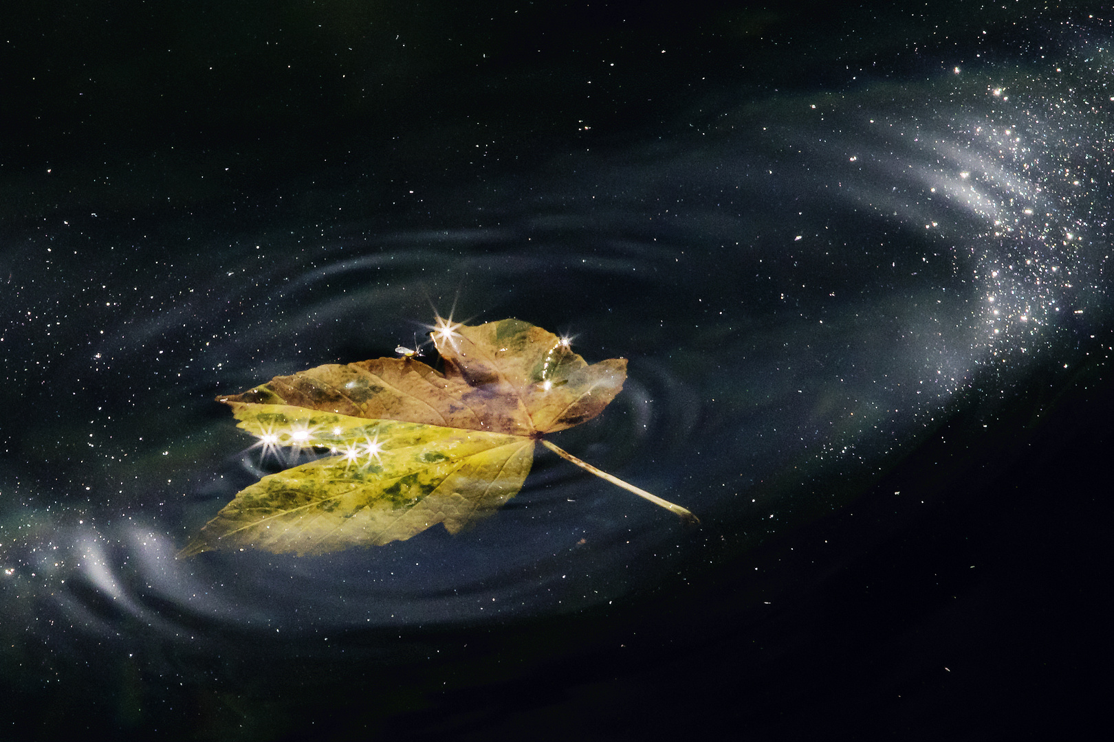 galaktisches Blatt 