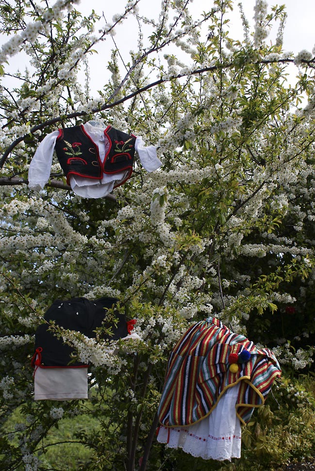 Galan de Primavera de Justo Pérez 