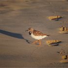 Galapagos [08] – Am Strand