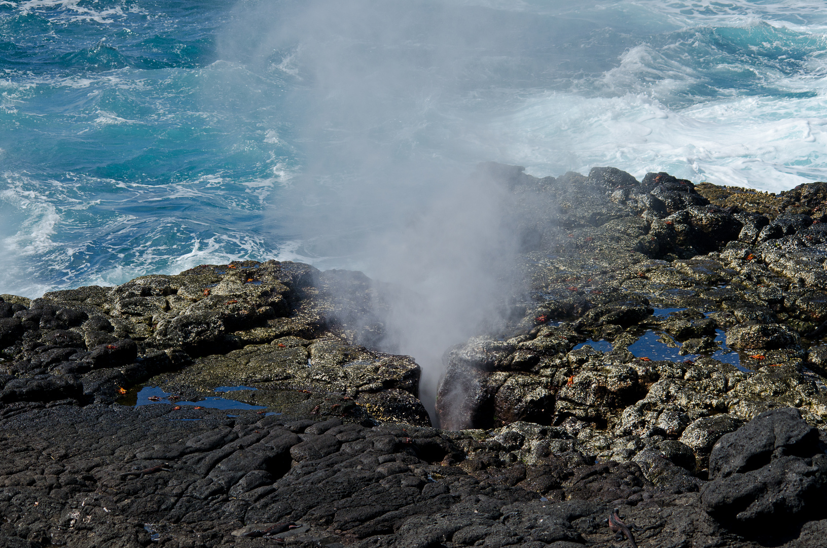 Galapagos Blow Hole