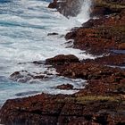 Galapagos Coast