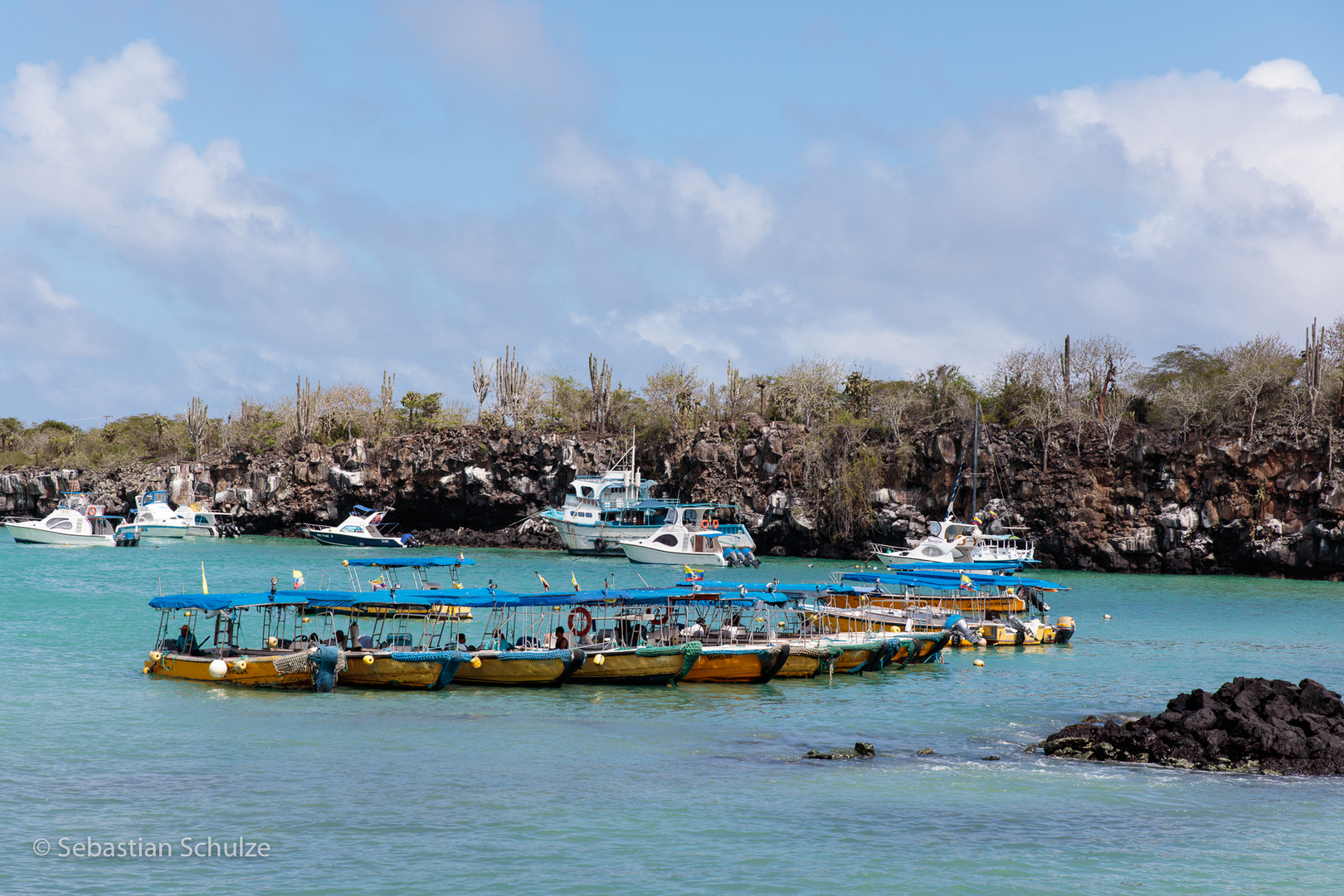 Galapagos - im Hafen von Santa Cruz