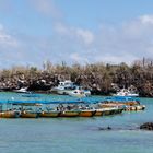 Galapagos - im Hafen von Santa Cruz