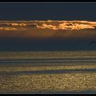 Galapagos Sunset