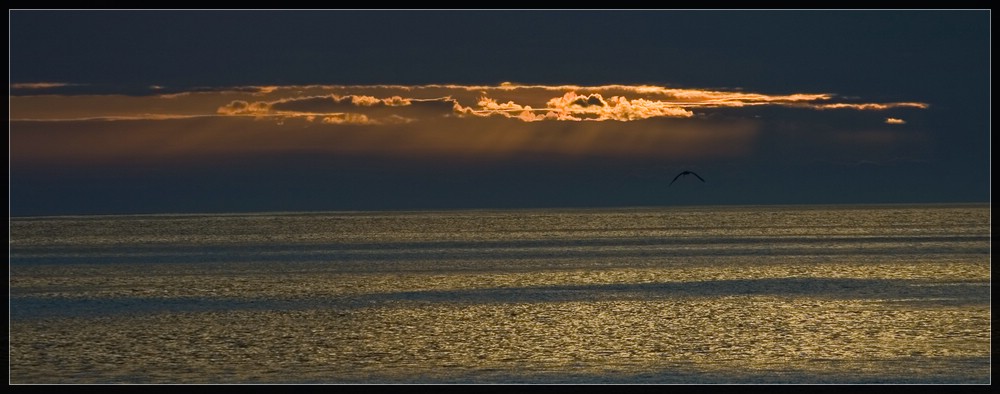 Galapagos Sunset