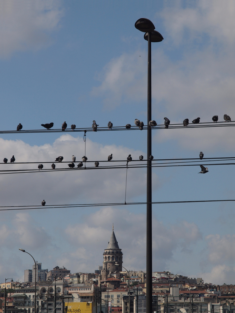 Galata-Turm