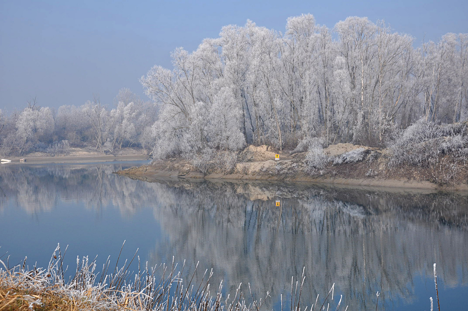 galaverna sul Piave