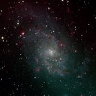 Galaxie M 33 im Sternbild Dreieck