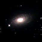 Galaxie M 63 (NGC 5055) in den Jagdhunden am 2.2.2006