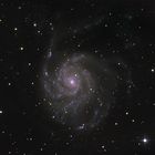 Galaxie M101