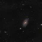 Galaxie M109 (NGC3992)