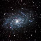 Galaxie M33 im Sternbild Dreieck