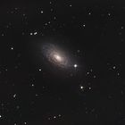 Galaxie M63