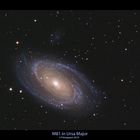 Galaxie M81