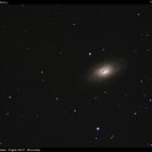 Galaxie mit dem schwarzen Auge