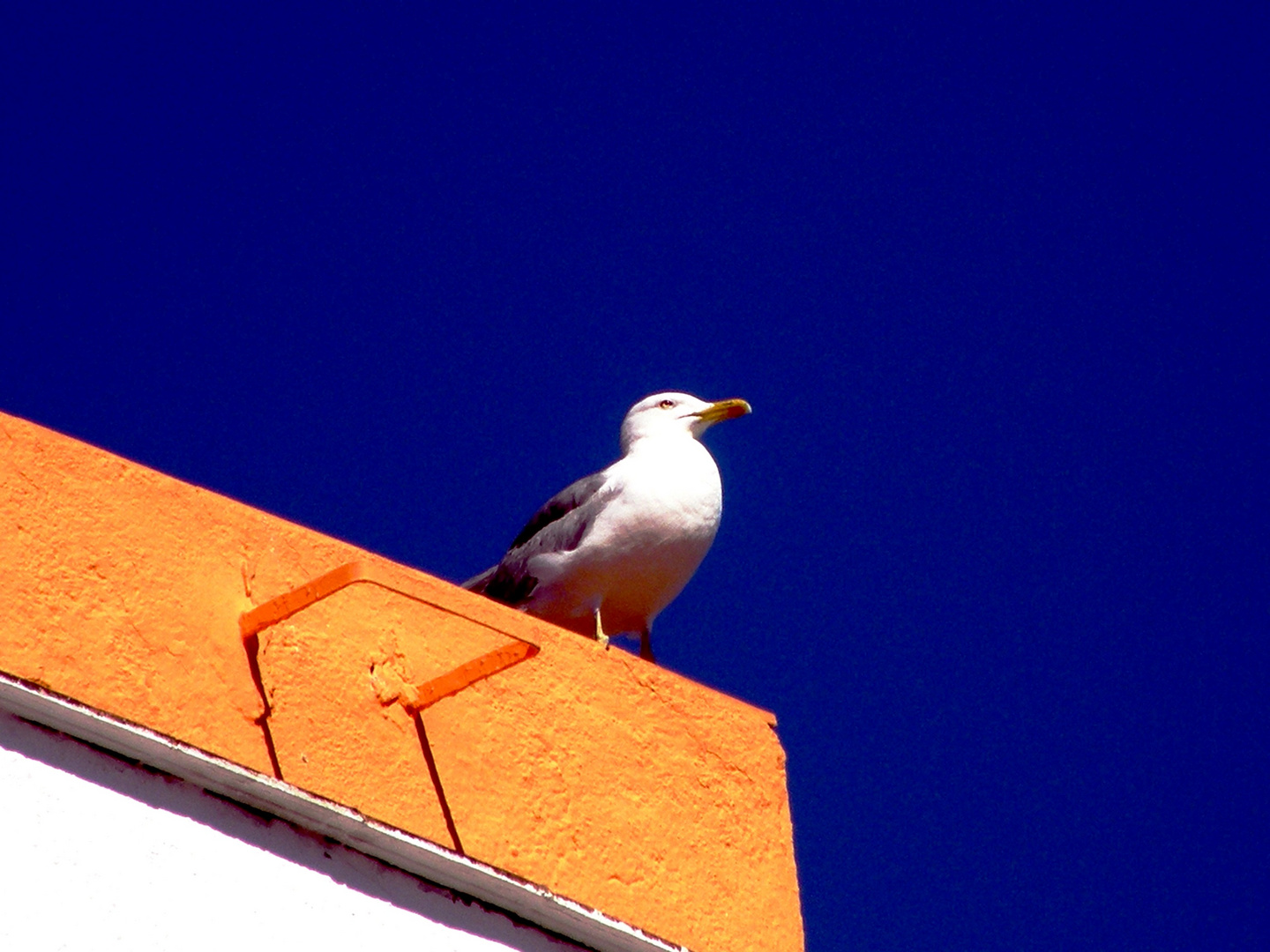 Galeb,Spain