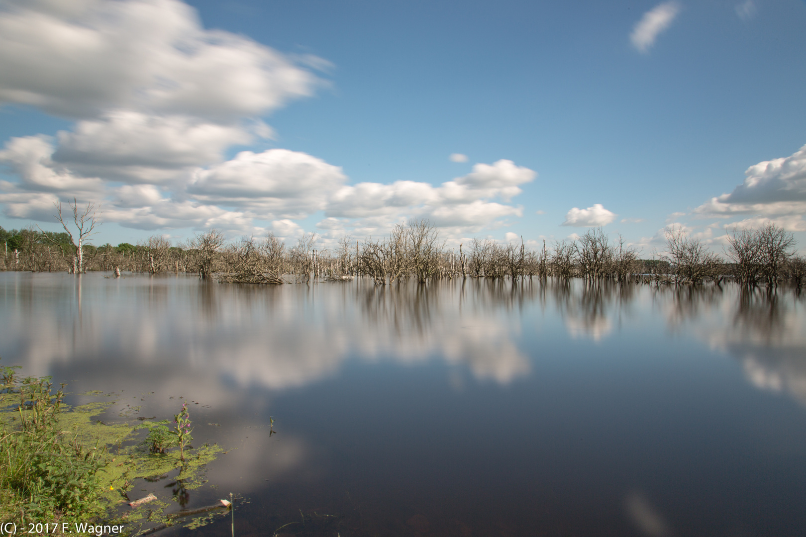 Galenbecker See