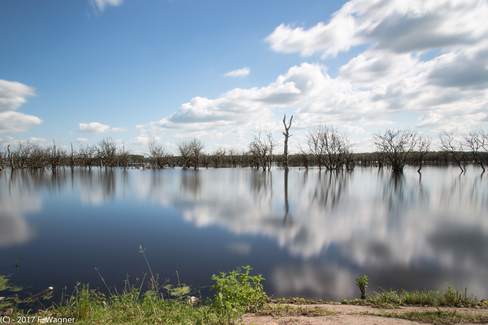 Galenbecker See