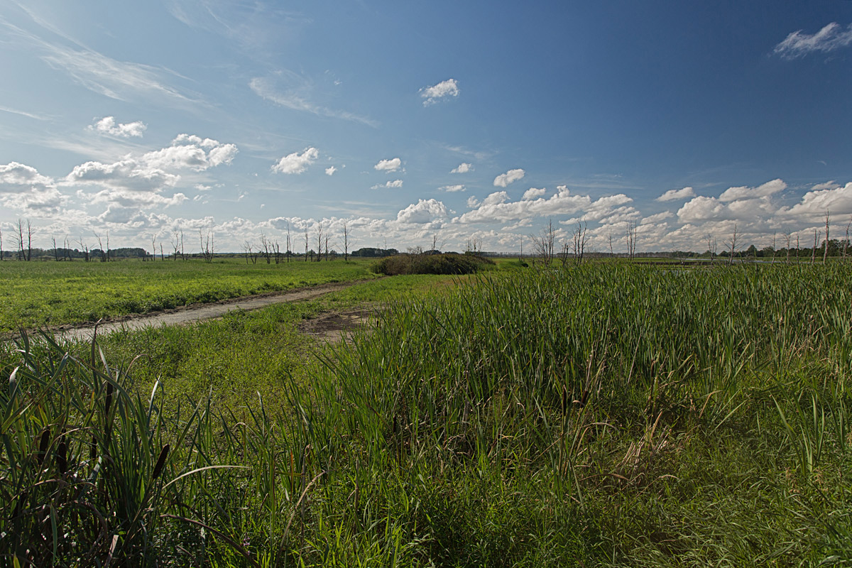 Galenbecker See