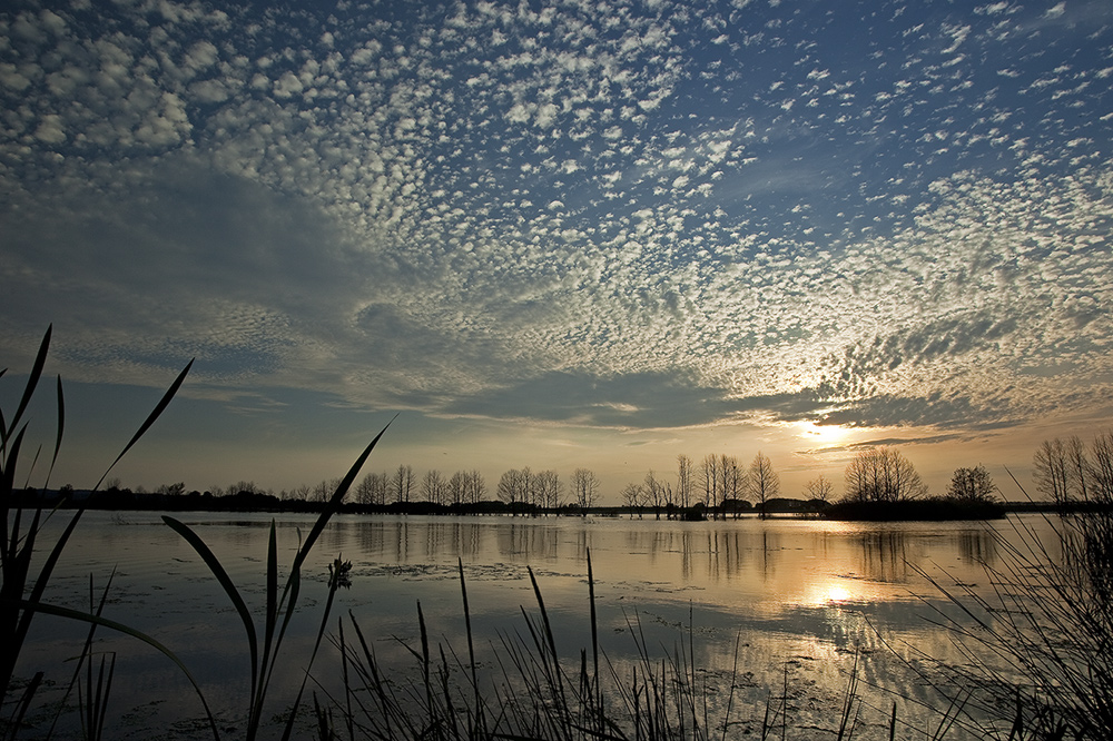 Galenbecker See