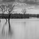 Galenbecker See