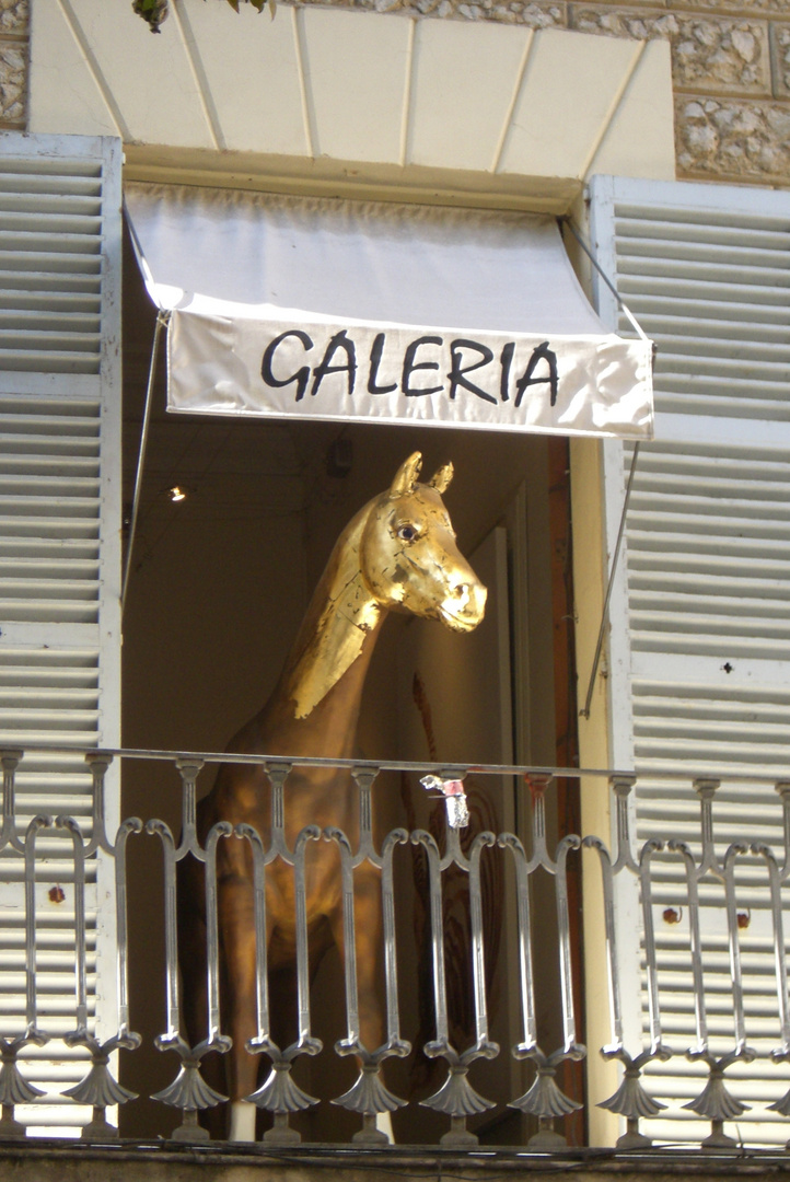 Galeria..