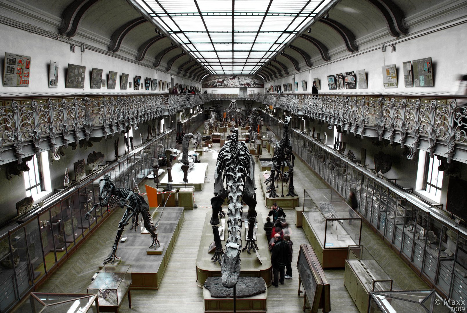 Galerie de Paléontologie