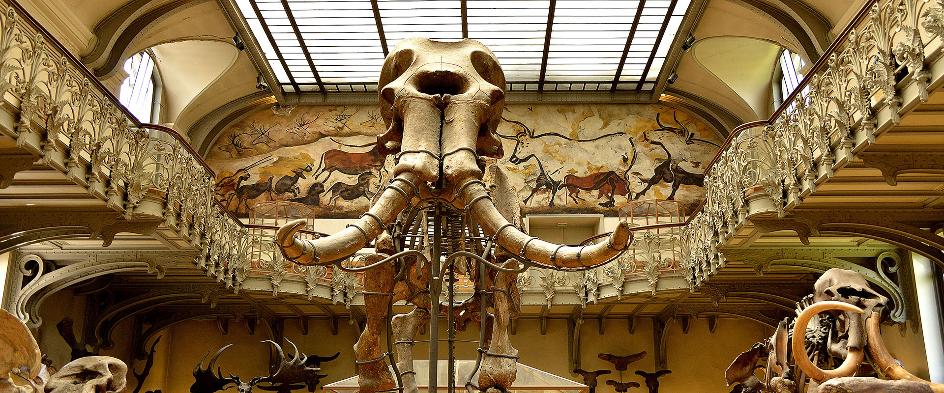 GALERIE DÁNATOMIE COMPAREE ET DE PALEONTOLOGIE