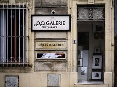 Galerie - Foto