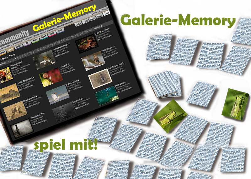 Galerie-Memory