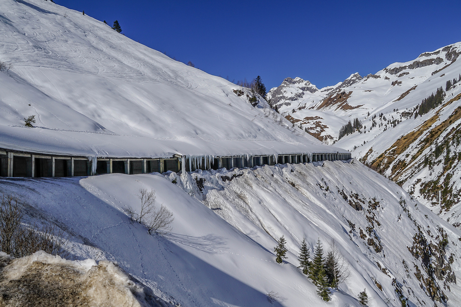 Galerie und Holzbodentunnel ...