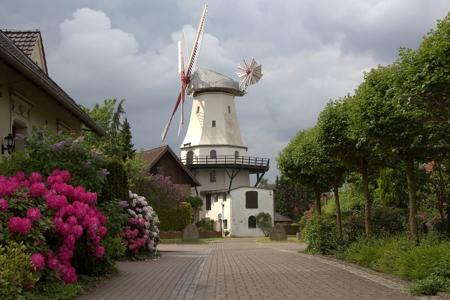 Galerieholländer "Jan Wind" - Eine Riesin ...