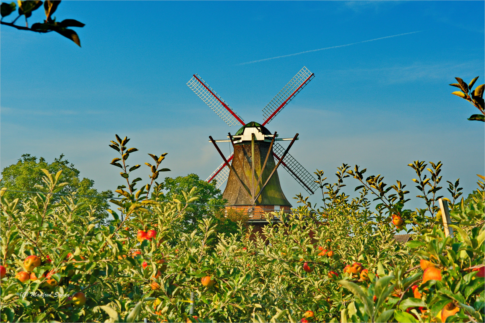 Galerieholländerwindmühle bei Jork im Alten Land