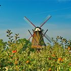 Galerieholländerwindmühle bei Jork im Alten Land