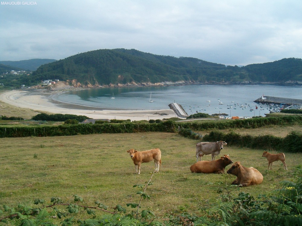 Galicia sin comentario