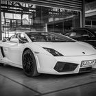 Gallardo