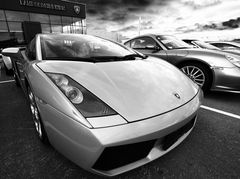 Gallardo