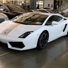 Gallardo